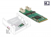 Delock Converter M.2 Key M male > 2 x Serial RS-232 male