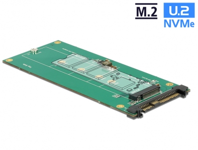 Delock Converter U.2 SFF-8639 NVMe > 1 x M.2 Key M