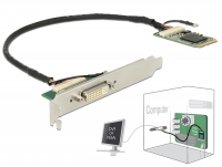 Delock Module Mini PCIe I/O PCIe full size DVI / VGA Graphics Adapter