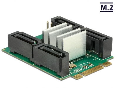 Delock Converter M.2 Key B+M male > Hybrid 4 x SATA 7 pin male with RAID