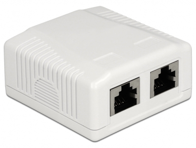 Delock Network Wall Outlet 2 Port Cat.6A LSA