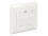 Delock Keystone Wall Outlet 2 Port