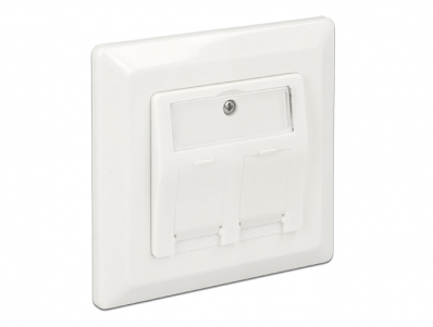 Delock Keystone Wall Outlet 2 Port