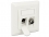 Delock Keystone Wall Outlet 2 Port