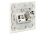 Delock Keystone Wall Outlet 2 Port