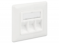 Delock Keystone Wall Outlet 3 port compact