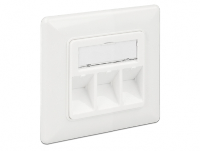 Delock Keystone Wall Outlet 3 port compact