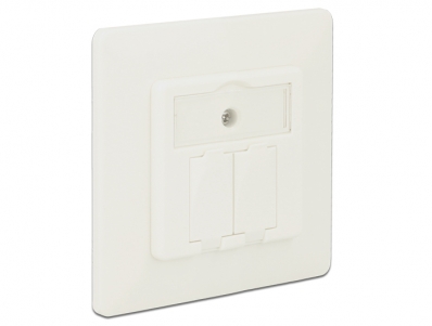 Delock Keystone Wall Outlet 2 Port compact