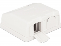 Delock Keystone Surface Mounted Box 2 Port with dust cover