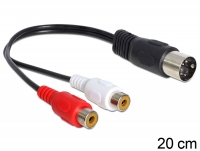 Delock Cable DIN diode plug 5 pole > RCA 2 x female 0,2 m