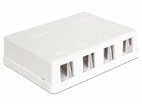 Delock Keystone Surface Mounted Box 4 Port