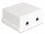 Delock Keystone Surface Mounted Box 2 Port