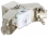 Delock Keystone Module RJ45 jack > LSA Cat.6A