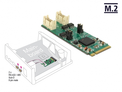 Delock Converter M.2 Key M male > 2 x Serial RS-422 / 485 male