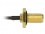 Delock Antenna Cable SMA jack bulkhead > MHF /U.FL-LP-068 compatible plug 100 mm 1.13 thread length 10 mm splash proof