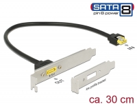 Delock Slot bracket SATA 6 Gb/s receptacle internal > SATA male pin 8 power external 30 cm