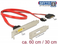 Delock Slot bracket SATA 6 Gb/s 7 pin receptacle + SATA 15 pin power plug internal > SATA male pin 8 power external