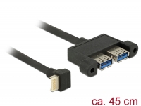 Delock Cable USB 3.1 Gen 2 key B 20 pin male > 2 x USB 3.1 Gen 2 Type-A female panel-mount 45 cm