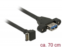 Delock Cable USB 3.1 Gen 2 key A 20 pin male > USB 3.1 Gen 2 Type-A female panel-mount 70 cm