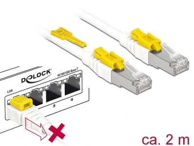 Delock Cable RJ45 Secure Cat.6A 2 m