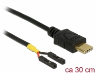 Delock Cable USB Type-C™ male > 2 x pin header female separate power 30 cm