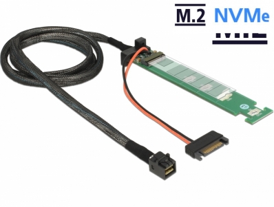 Delock Converter SFF-8643 > 1 x M.2 NVMe Key M 1 m