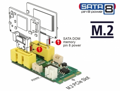 Delock Converter M.2 Key B+M male > 2 x SATA pin 8 power plug