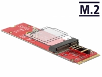 Delock Converter M.2 Key M male > M.2 Key E slot for USB and PCIe modules