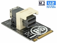 Delock Adapter M.2 Key M > SFF-8643 NVMe horizontal 2242