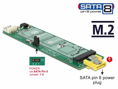 Delock Converter SATA pin 8 power receptacle > M.2 Key B slot