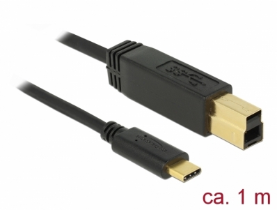 Delock USB 3.1 Gen 2 (10 Gbps) cable Type-C™ to Type-B 1 m