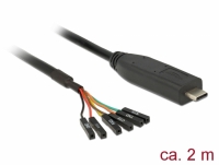 Delock Converter USB Type-C™ 2.0 male to LVTTL 3.3 V 6 pin pin header female separate 2.0 m