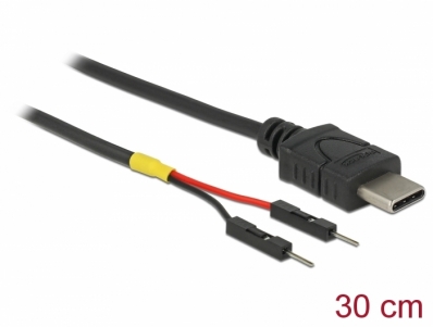 Delock USB Power Cable Type-C to 2 x pin header male separate power 30 cm
