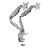 VALUE Dual LCD Monitor Arm, Desk Clamp, 6 Joints, Pivot, silver