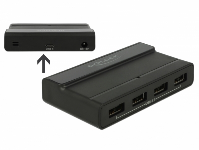 Delock External USB 3.1 Hub 4 Port with 10 Gbps