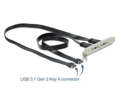 Delock Slot Bracket with 2 x USB Type-C™ Ports