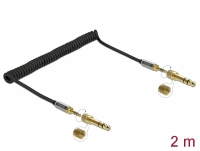 Delock Coiled Cable 3.5 mm 3 pin Stereo Jack male to Stereo Jack male with screw adapter 2 m