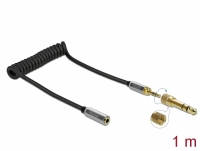 Delock Coiled Cable Extension 3.5 mm 3 pin Stereo Jack male to Stereo Jack female with 6.35 mm screw adapter 1 m