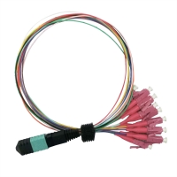 VALUE MPO Fan-Out Cable 50/125µm OM4, MPO/12x LC, 2 m