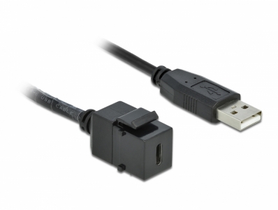 Delock Keystone Module USB 2.0 C female > USB 2.0 A male with cable