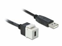 Delock Keystone Module USB 2.0 C female > USB 2.0 A male with cable