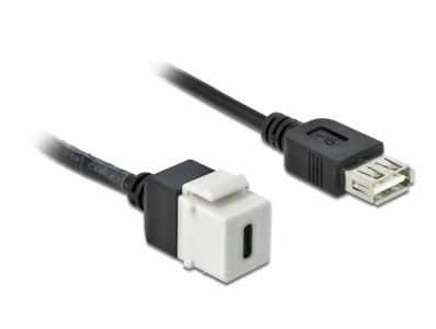 Delock Keystone Module USB 2.0 C female > USB 2.0 A female with cable