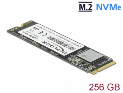 Delock M.2 SSD PCIe / NVMe Key M 2280 - 256 GB