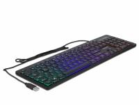 Delock USB Keyboard wired 1.5 m black with RGB Illumination