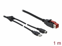 Delock PoweredUSB cable male 24 V to USB Type-A male + Mini-DIN 3 pin male 1 m for POS printers and terminals