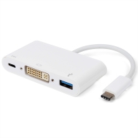 ROLINE Type C - DVI Adapter, M/F, 1x USB 3.2 Gen 1 A F, 1x PD (Power Delivery)