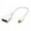 ROLINE DisplayPort Adapter, DP F - Mini DP M