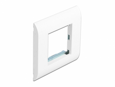 Delock Easy 45 Module Holder with Frame 80 x 80 mm white
