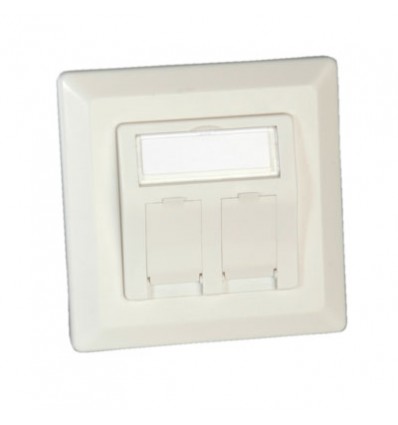 Flush Mount Wall Oulet for Keystones, 2-port