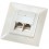 ROLINE Flush Mount Wall Jack, Cat.5e, unshielded ivory